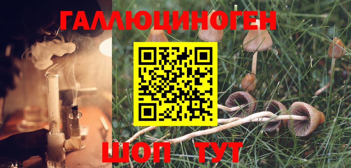 Псилоцибиновые грибы GOLDEN TEACHER Кувандык