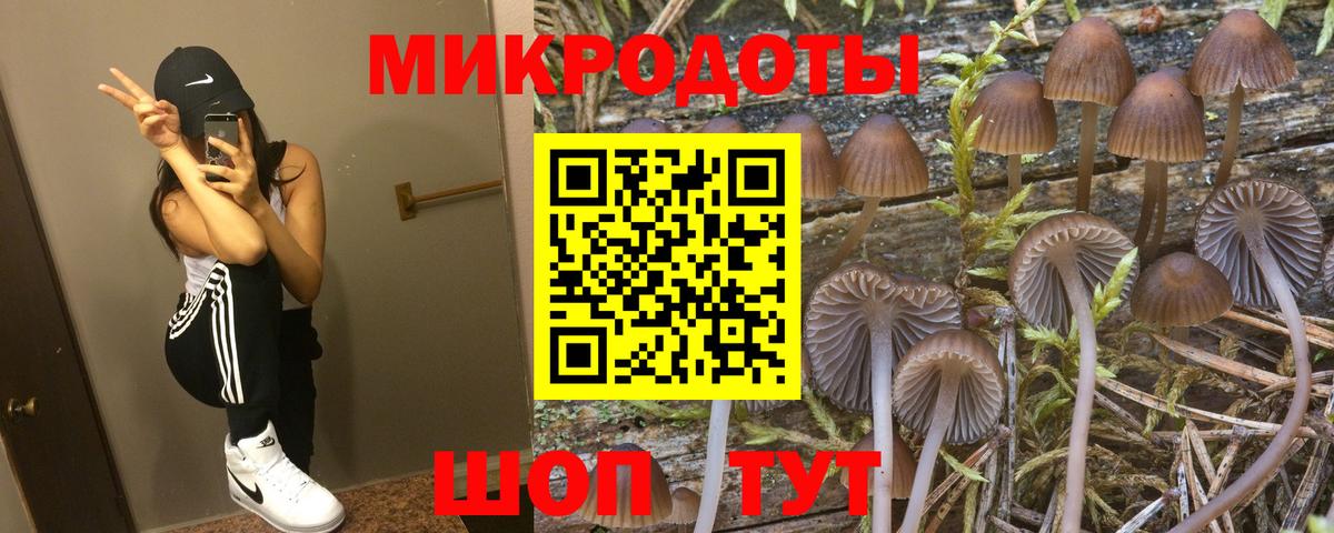 Псилоцибиновые грибы прущие грибы  как найти   Кувандык  Вход с VPN 